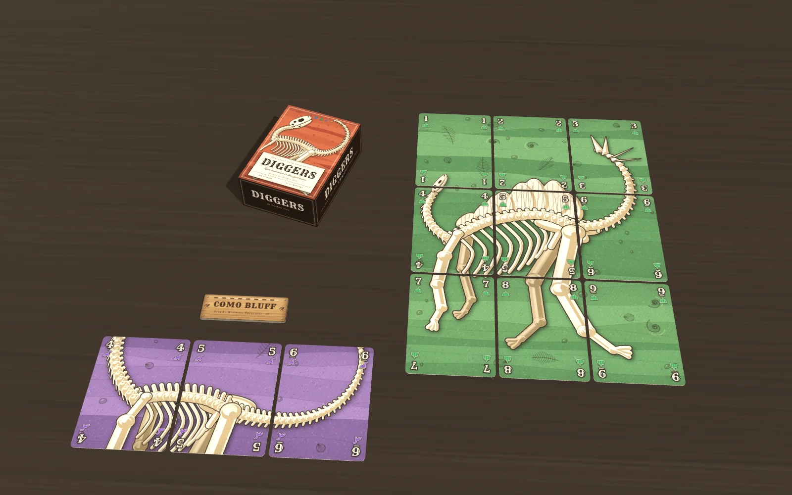 The box, a Stegosaurus slab and a dig site with a find.